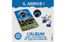 LOT DE 10 POCHETTES de VIGNETTES (1 euro / pochette)